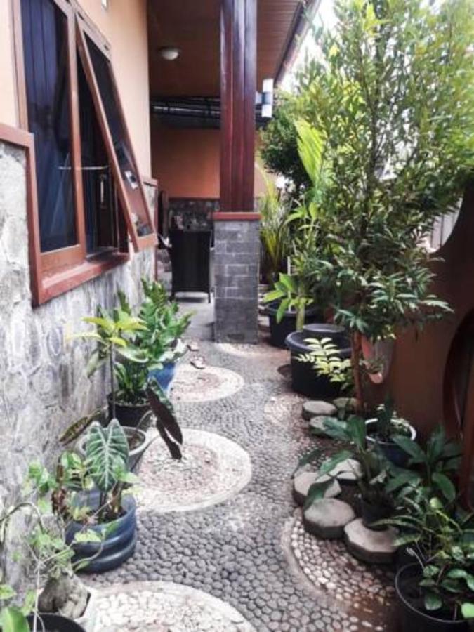 Mocca Guest House Баньюванги Экстерьер фото